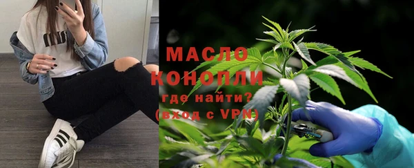 прущие крисы Бородино