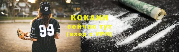 гидра Бронницы