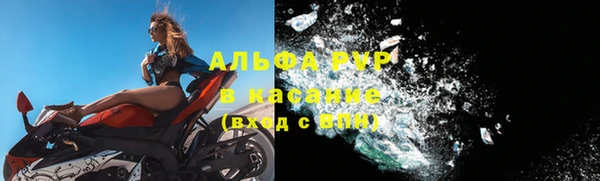 гидра Бронницы