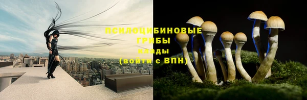 гидра Бронницы