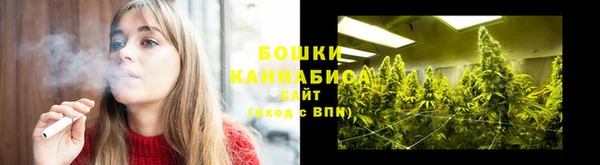 прущие крисы Бородино