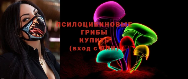прущие крисы Бородино