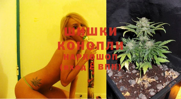 индика Белоозёрский